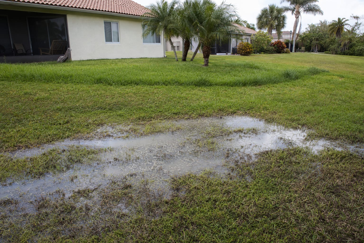 Eroded and saturated leach field showing surface failure where effluent is no longer absorbing into the soil